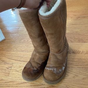 Chestnut Classic Tall UGG Boots